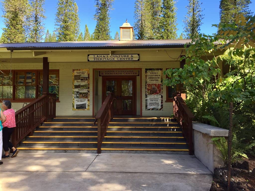 Local Art and Hand-Sewn Quilt