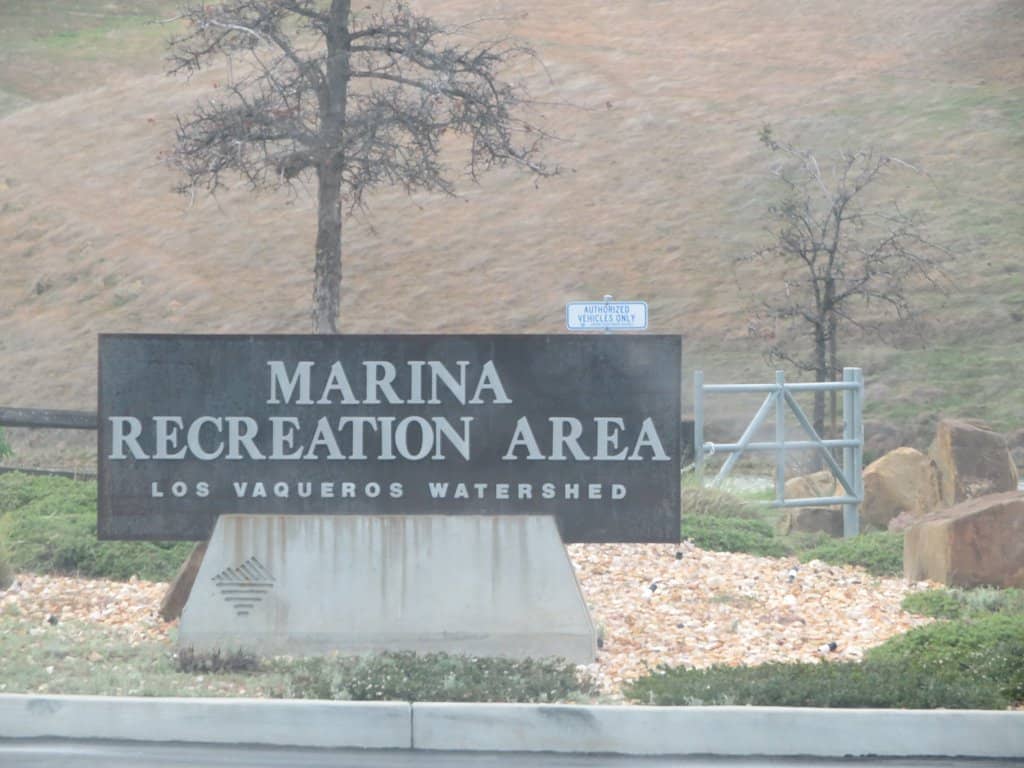 Serene Fishing Experience