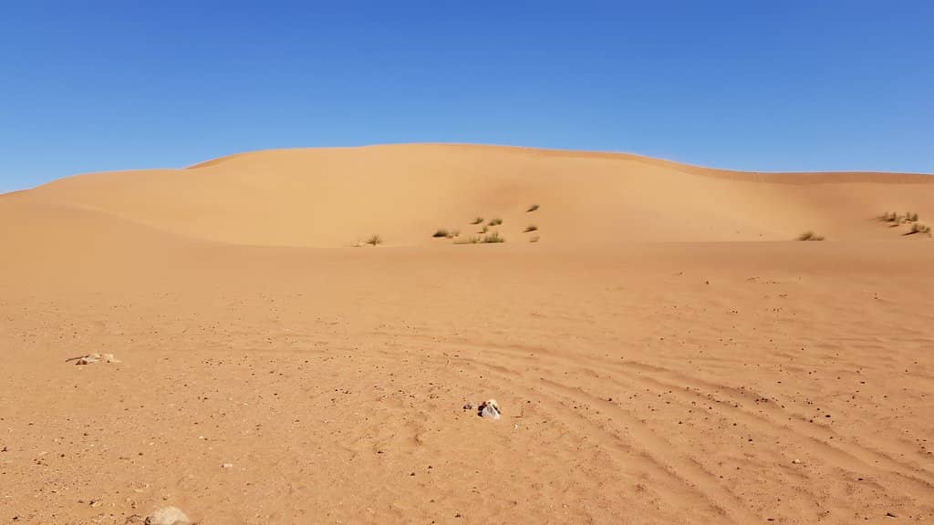 Camel Trekking
