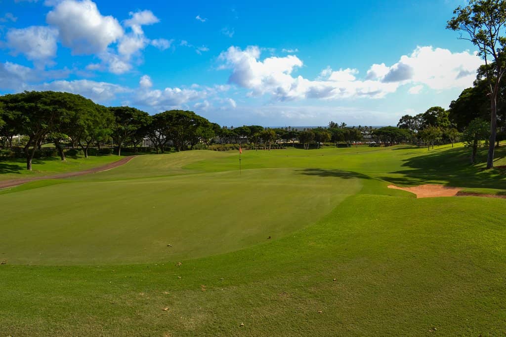 Picturesque Landscaping