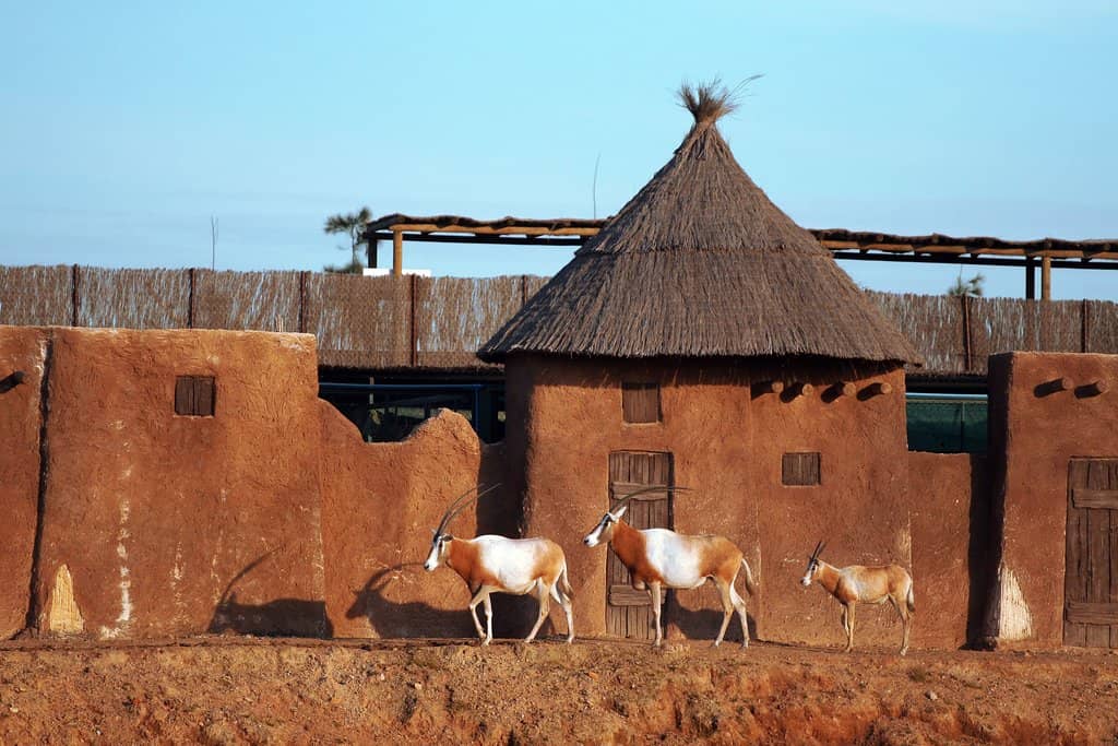 Aqua Natura Water Park