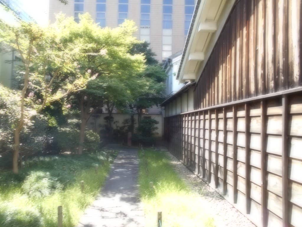 Unique Osaka Nightlife