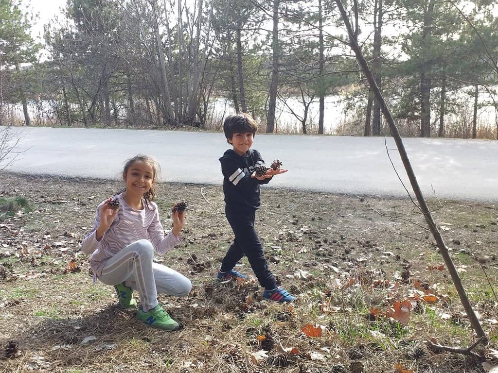 Nature Walks & Picnics