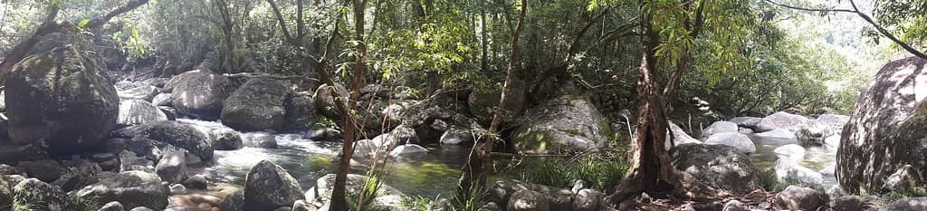 Mossman Gorge Circuit Track