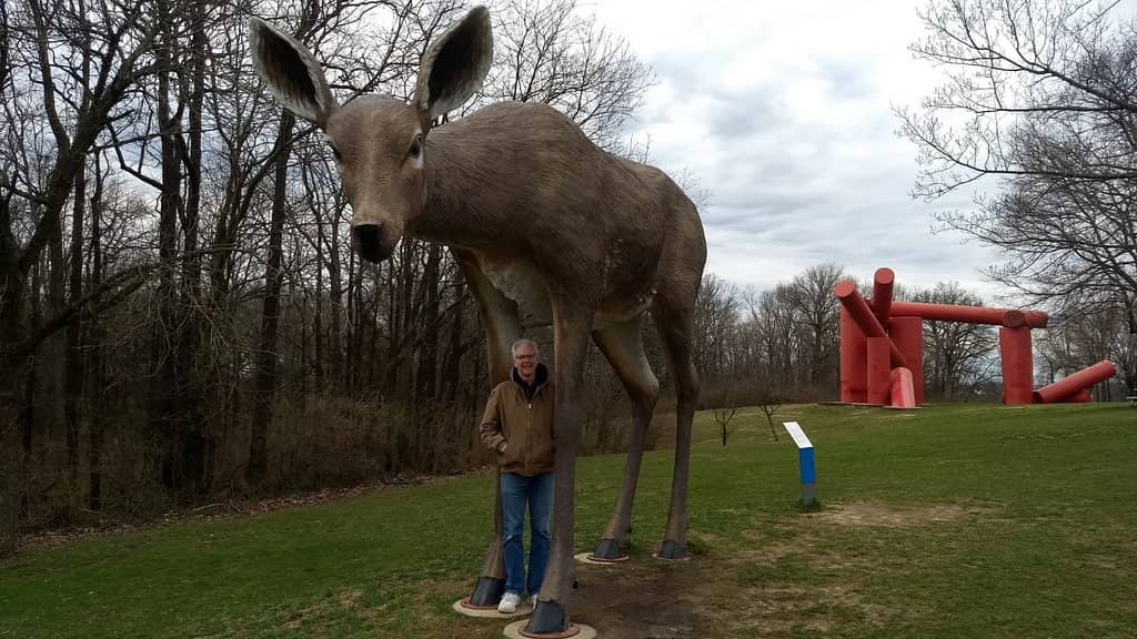 Discover Hidden Sculptures