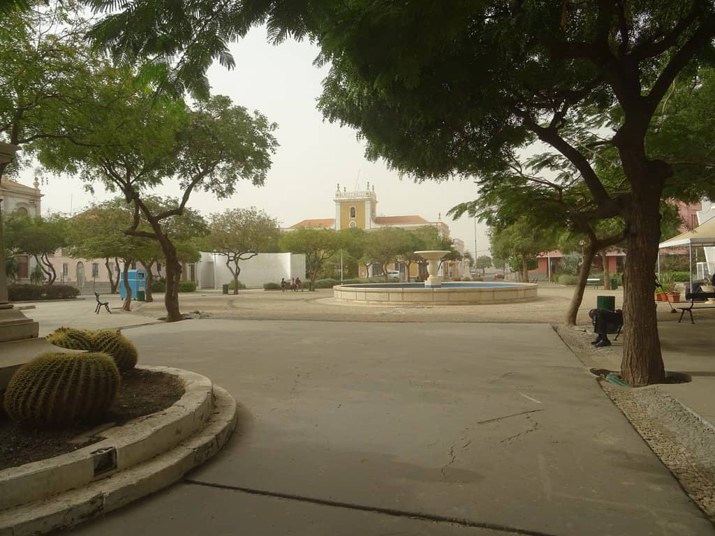 Street Food Delights