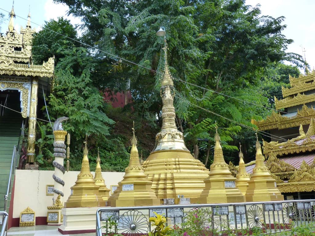 Photo Opportunities with Pythons