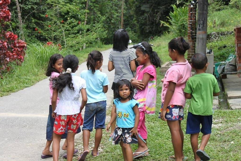 Charcoal Production Insight