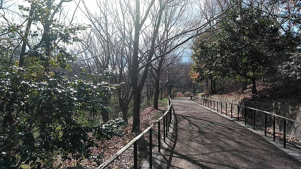 Serene Ponds & Streams