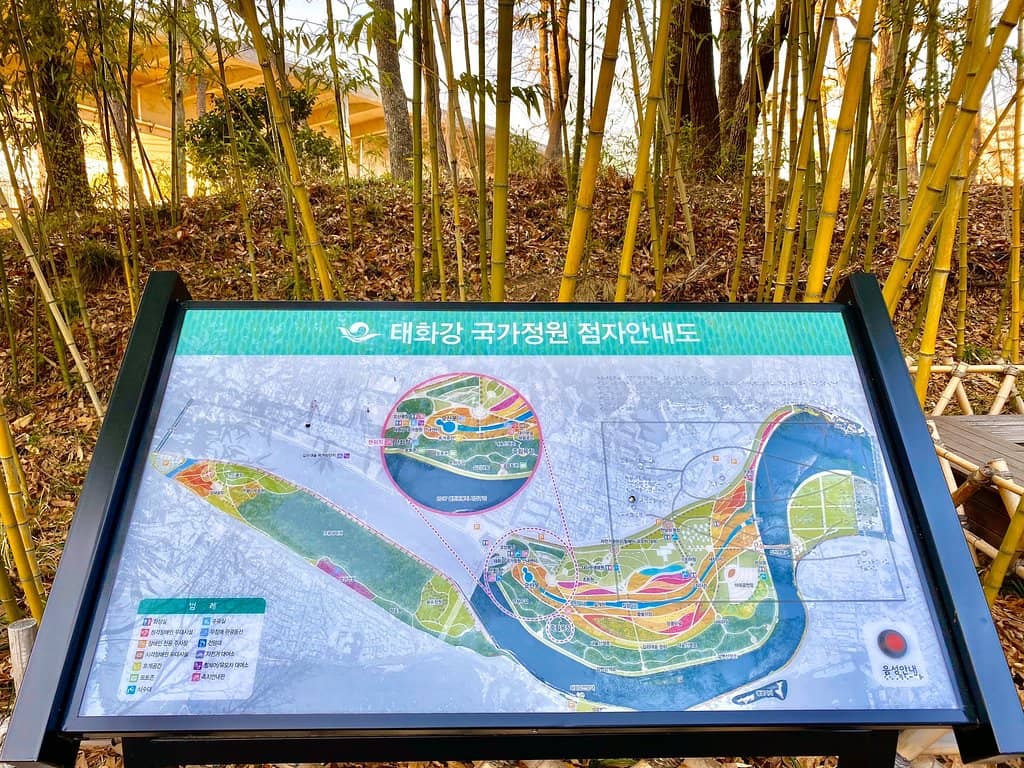 Vibrant Flower Gardens