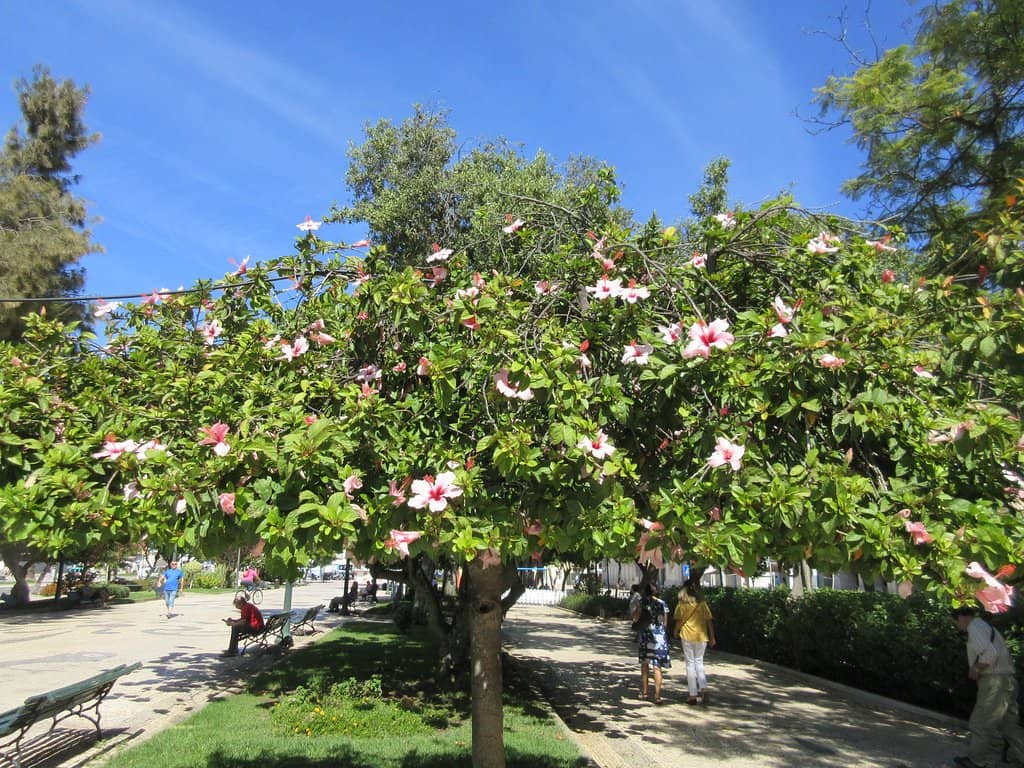 Central Bandstand