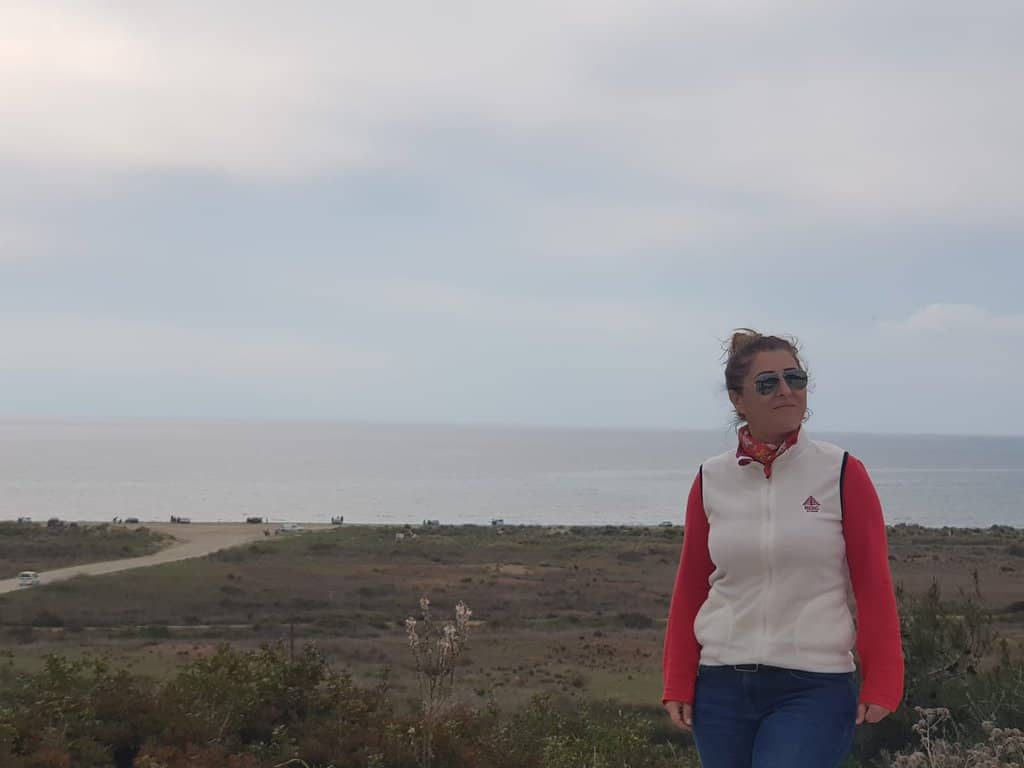 Seasonal Sand Lilies