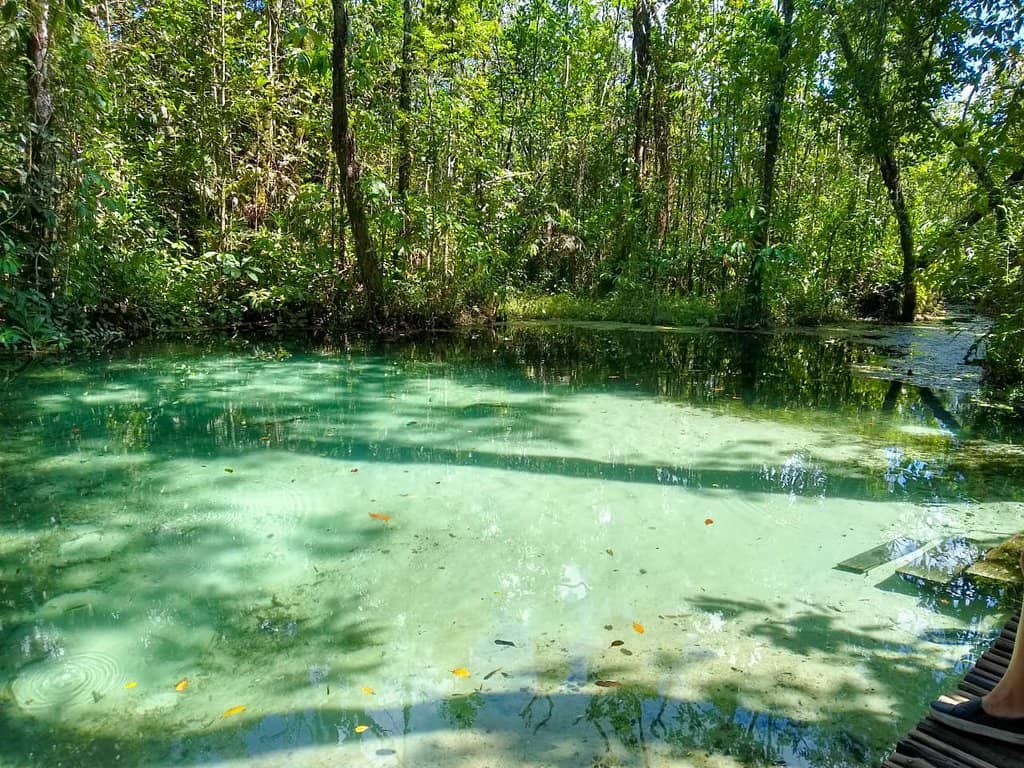 The Singing Sand Spring
