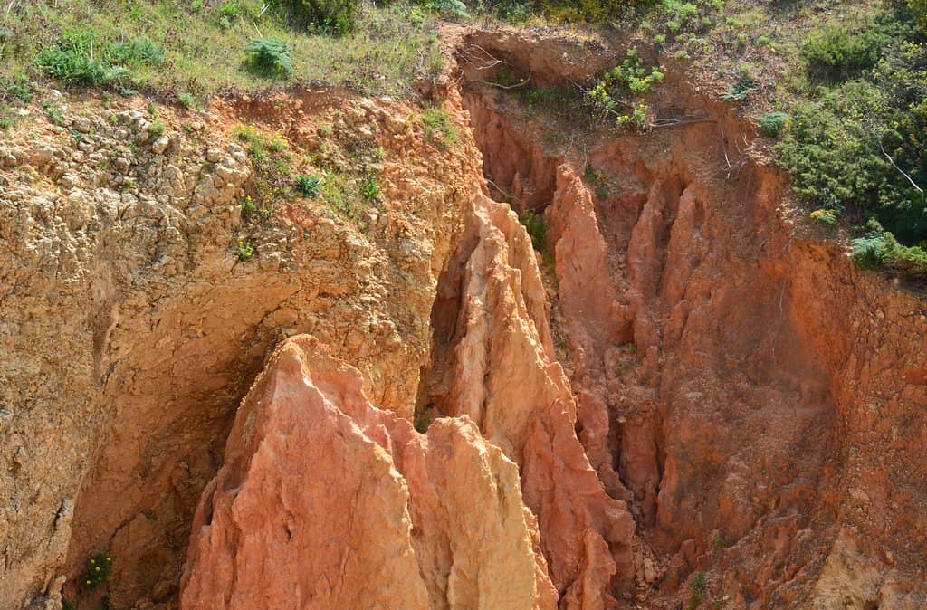 Family-Friendly Waters