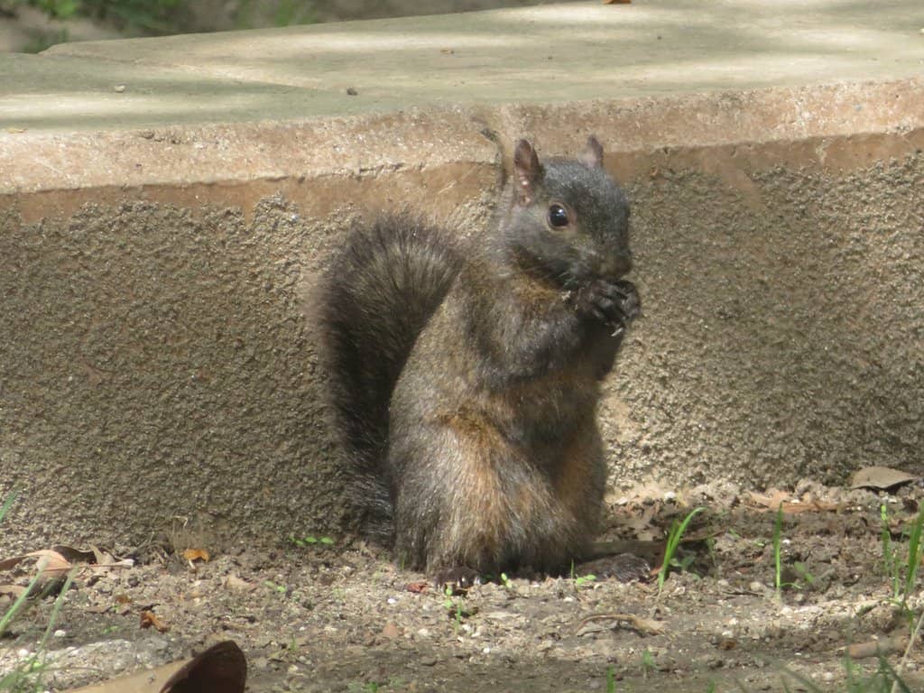 Sports & Recreation Hub