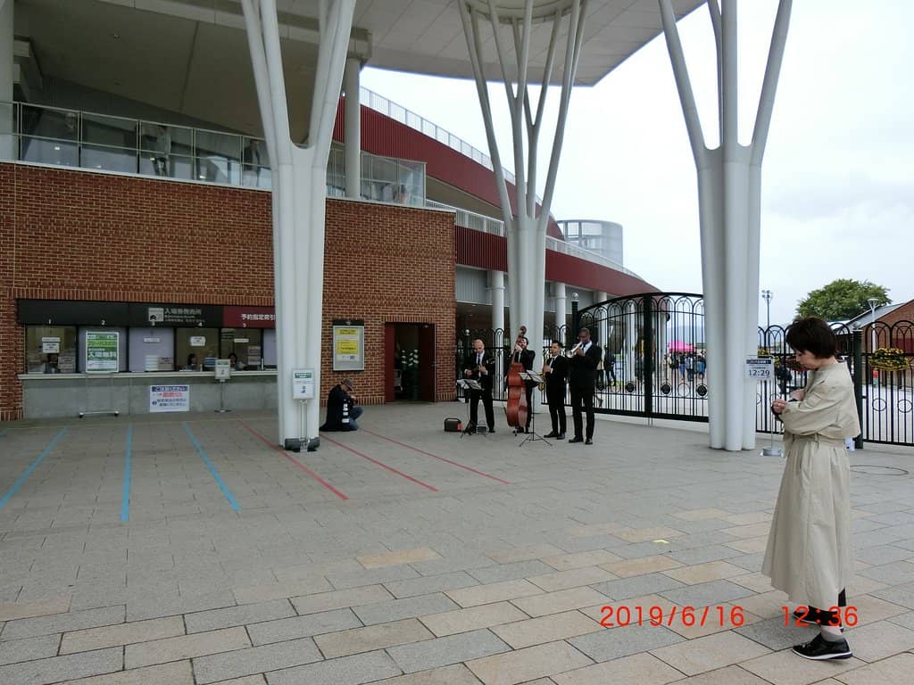 The Thrill of Live Horse Racing