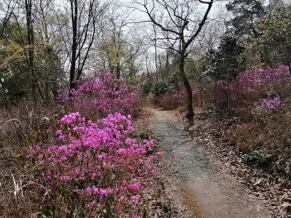 Natural Material Workshops