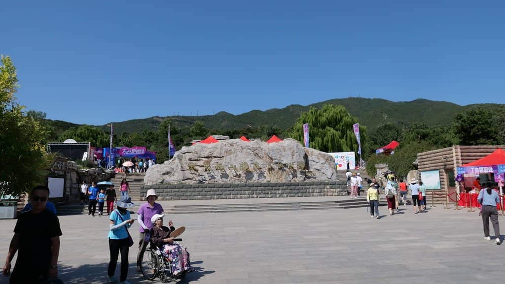 Vibrant Flower Fields