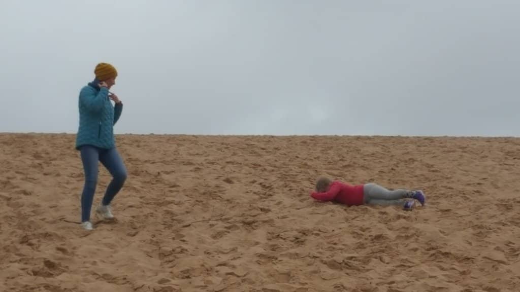 Pierce Stocking Scenic Drive