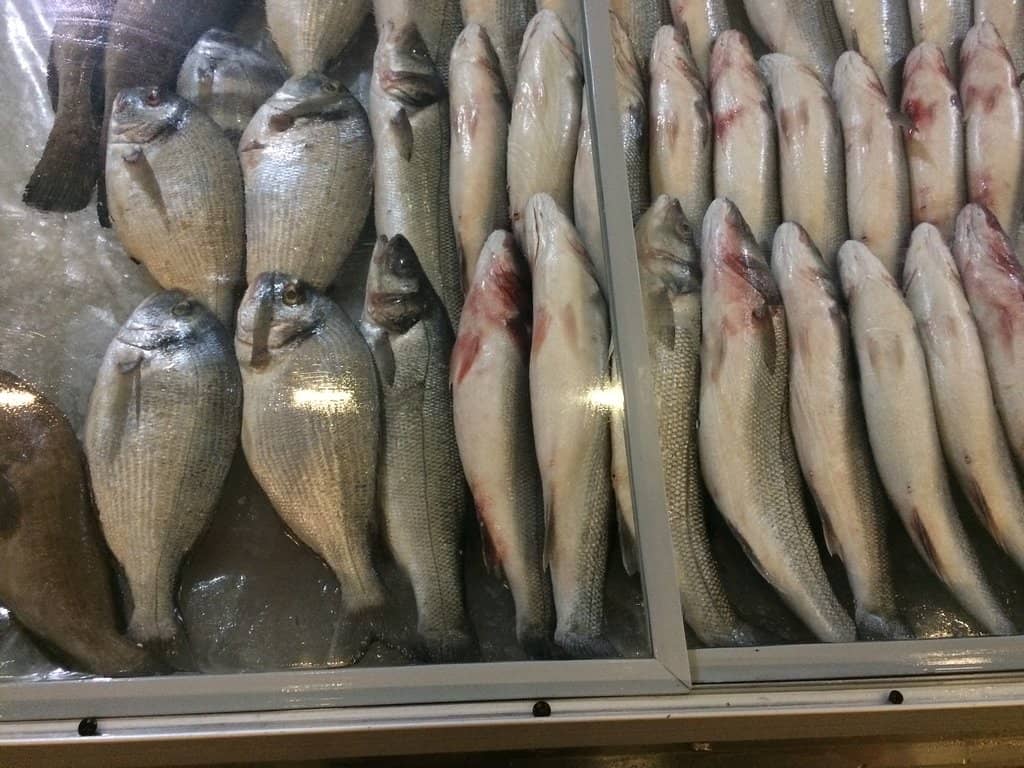 Cozy and Sophisticated Ambiance