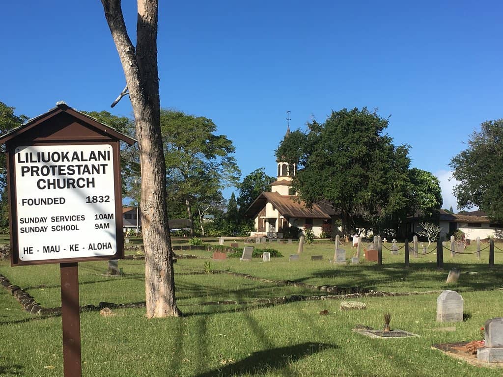 North Shore Country Market