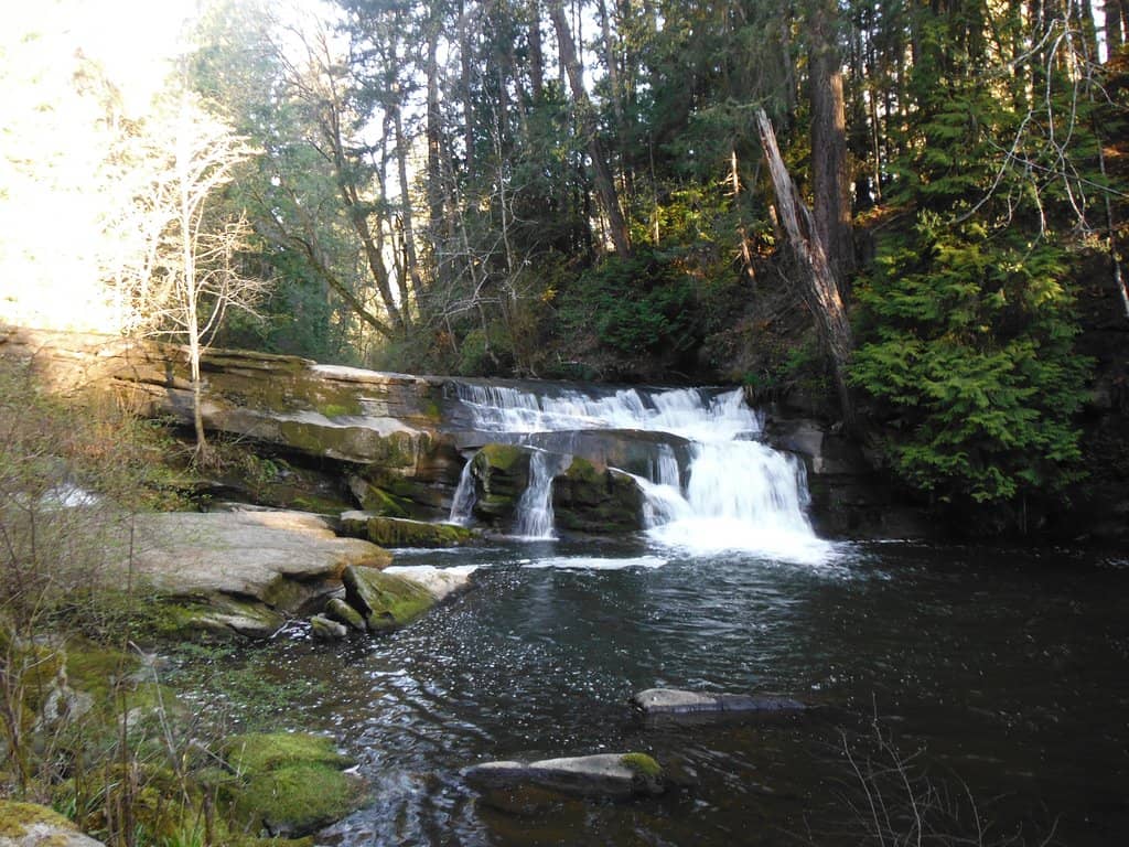 Playgrounds & Picnic Spots