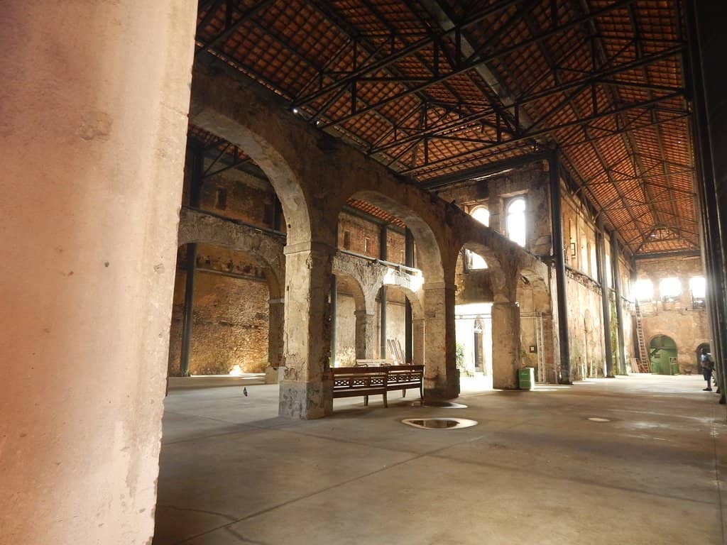 Festival Performances