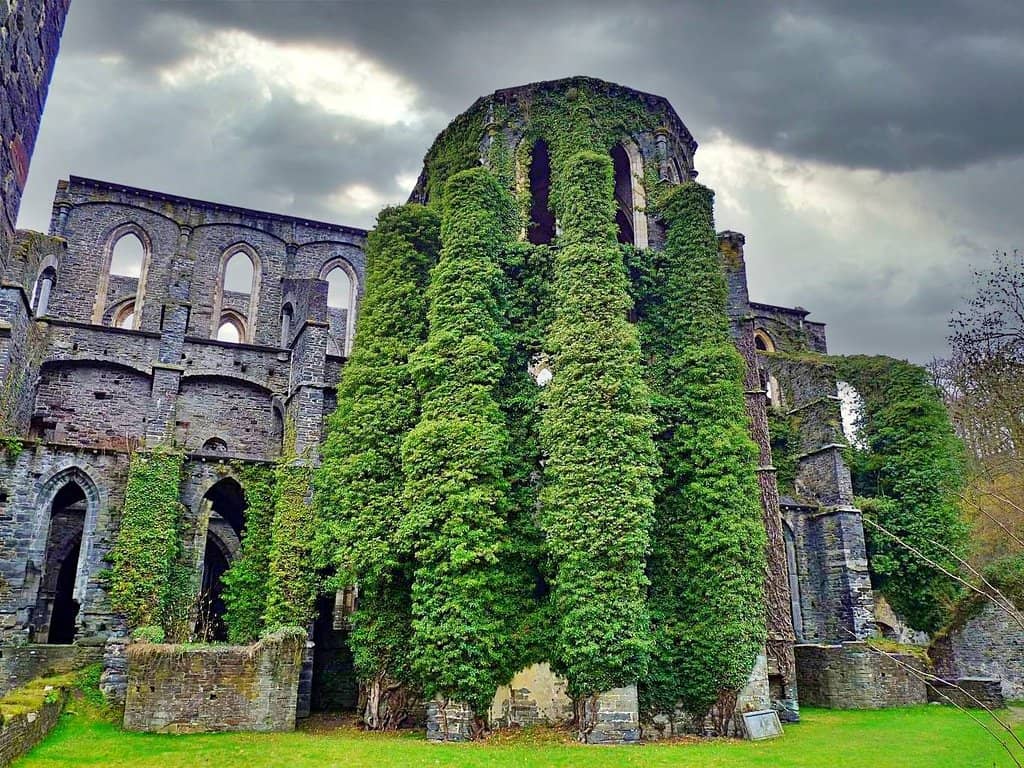 Medieval Markets & Festivals