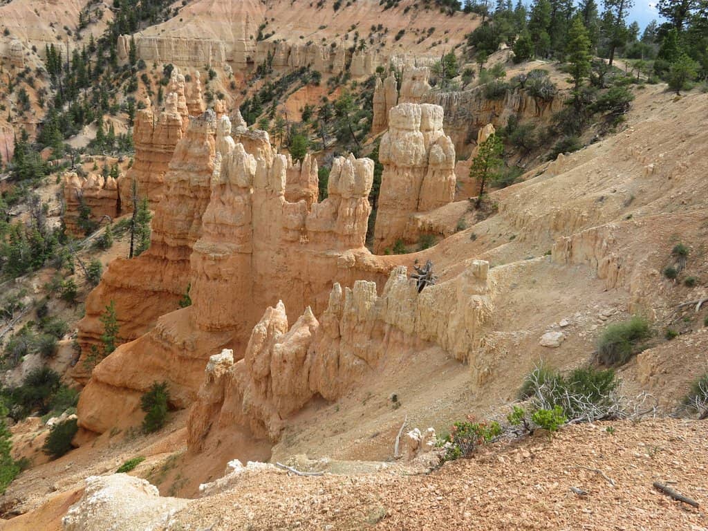 Stargazing near Bryce Canyon