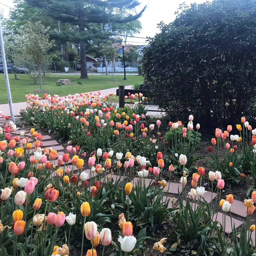 Chapin Rainbow Outdoor Stage