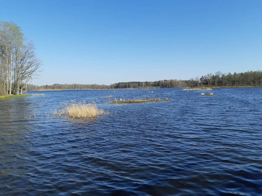 Picturesque Lake Views