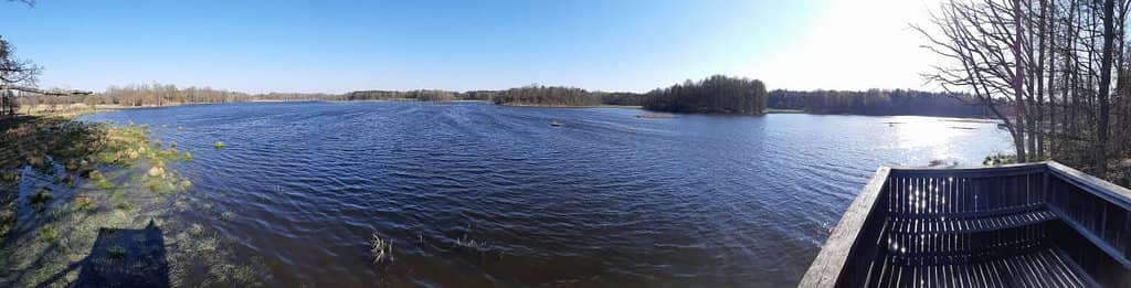 Abundant Wildlife Sightings