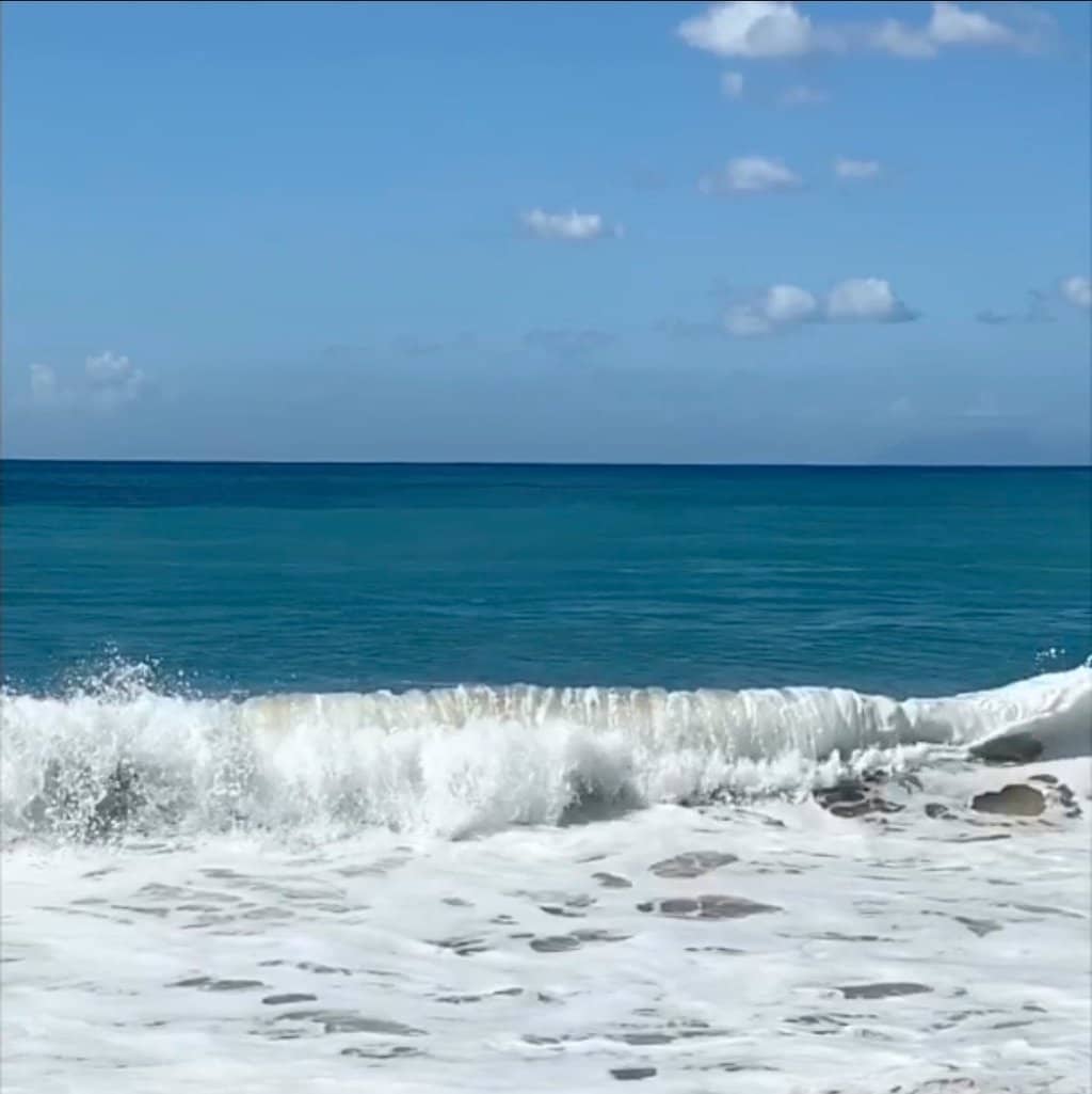 Artisanal Sorbet Coco