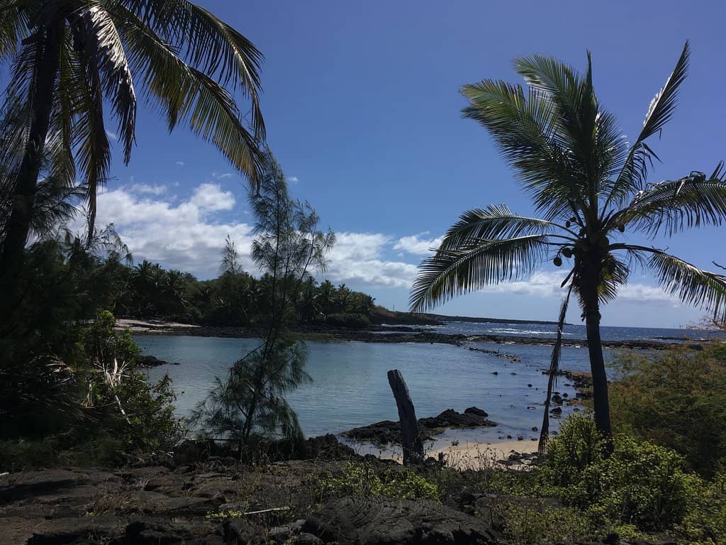 Coastal Hike Adventure