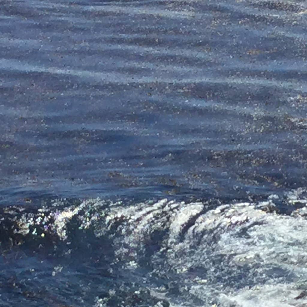 Abalone Cove Tide Pools