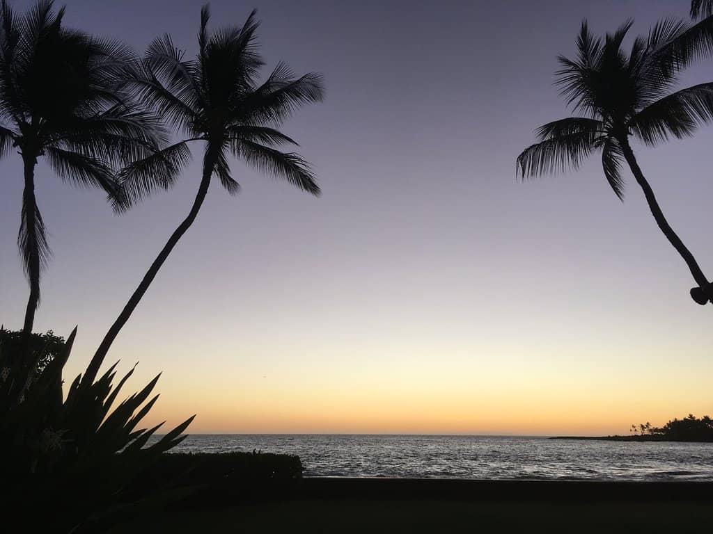 Dramatic Coastline Views