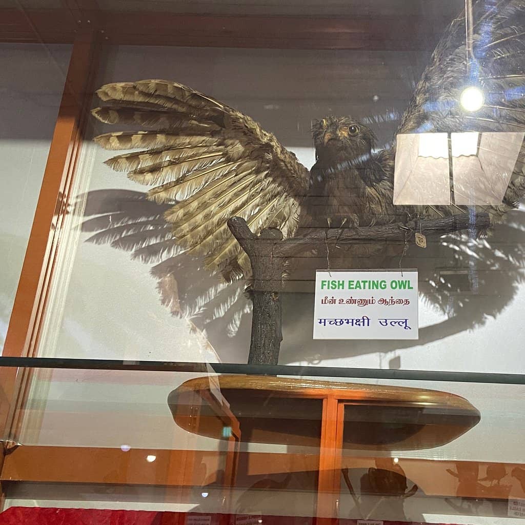 Rare Coin Collection