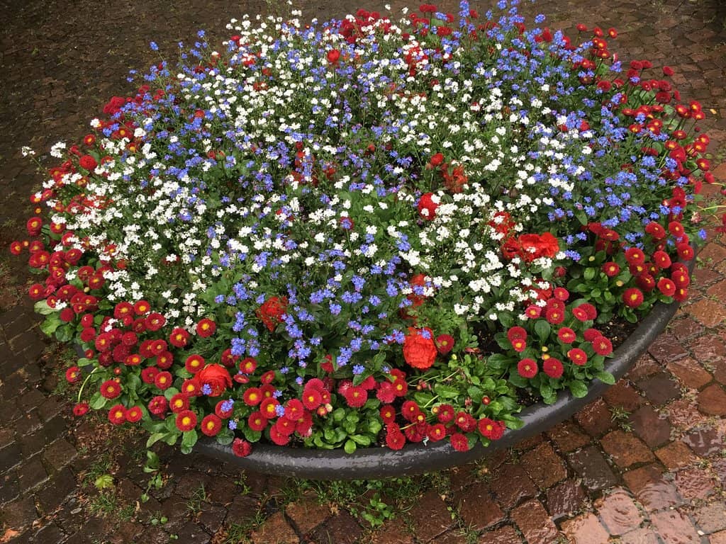 Architectural Grandeur