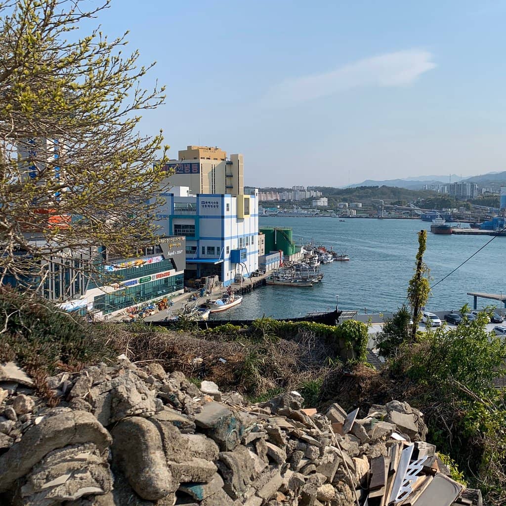 Coastal Railway Views