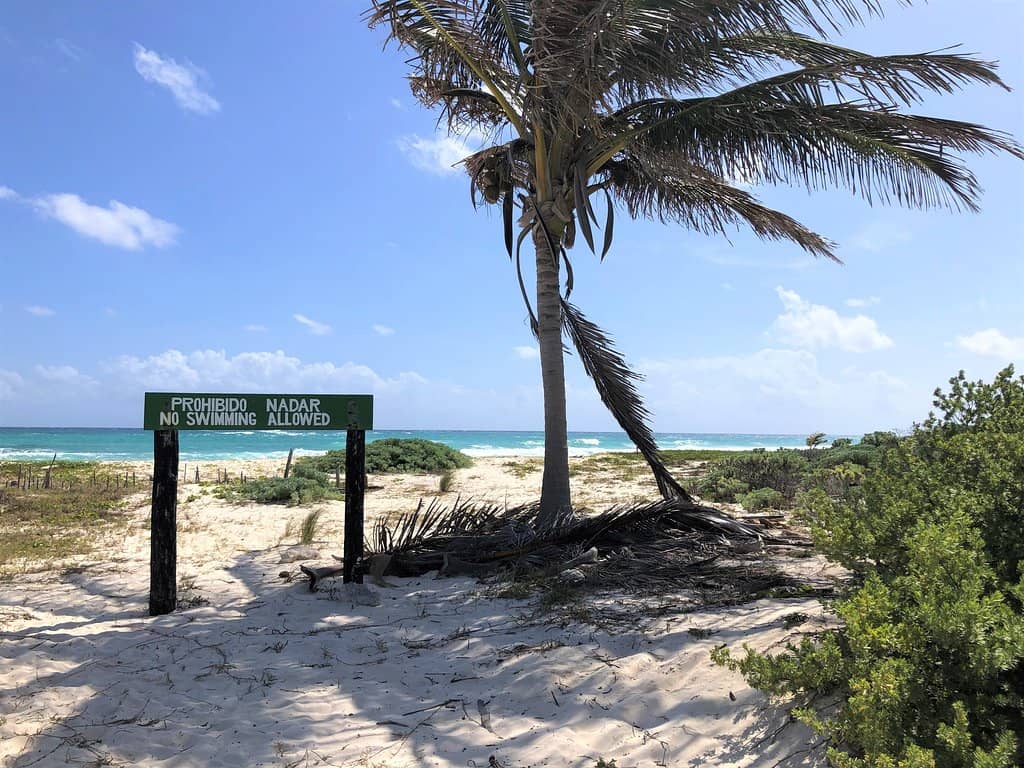 Mayan Ruins & Museum