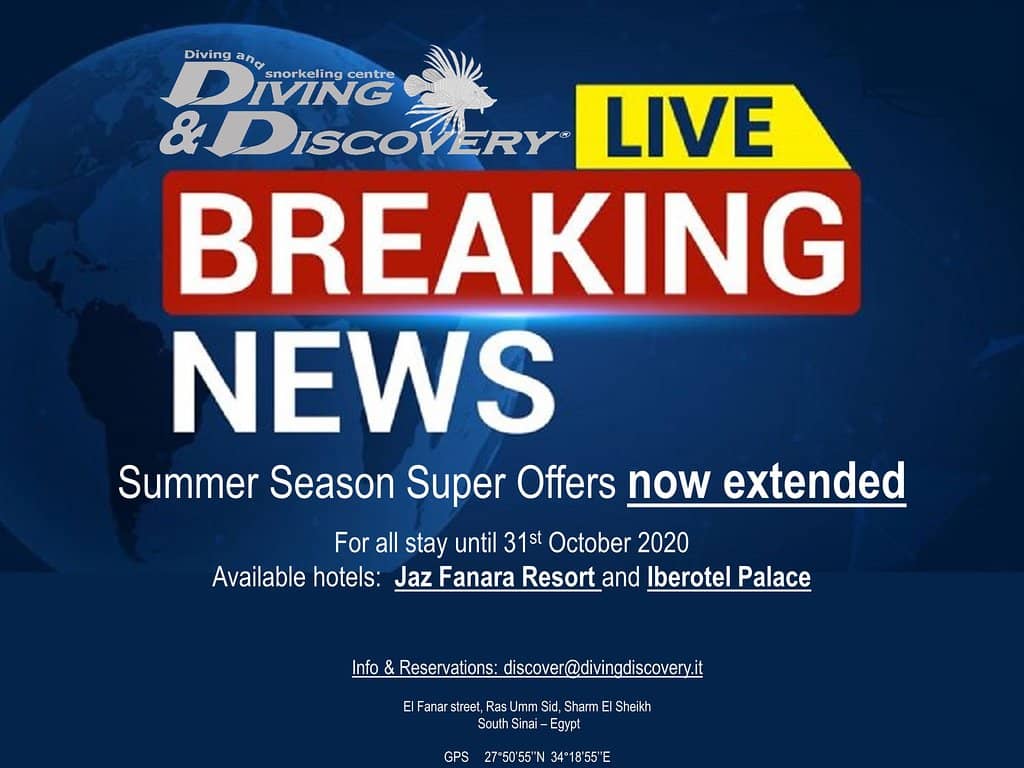 Discovery Point Museum