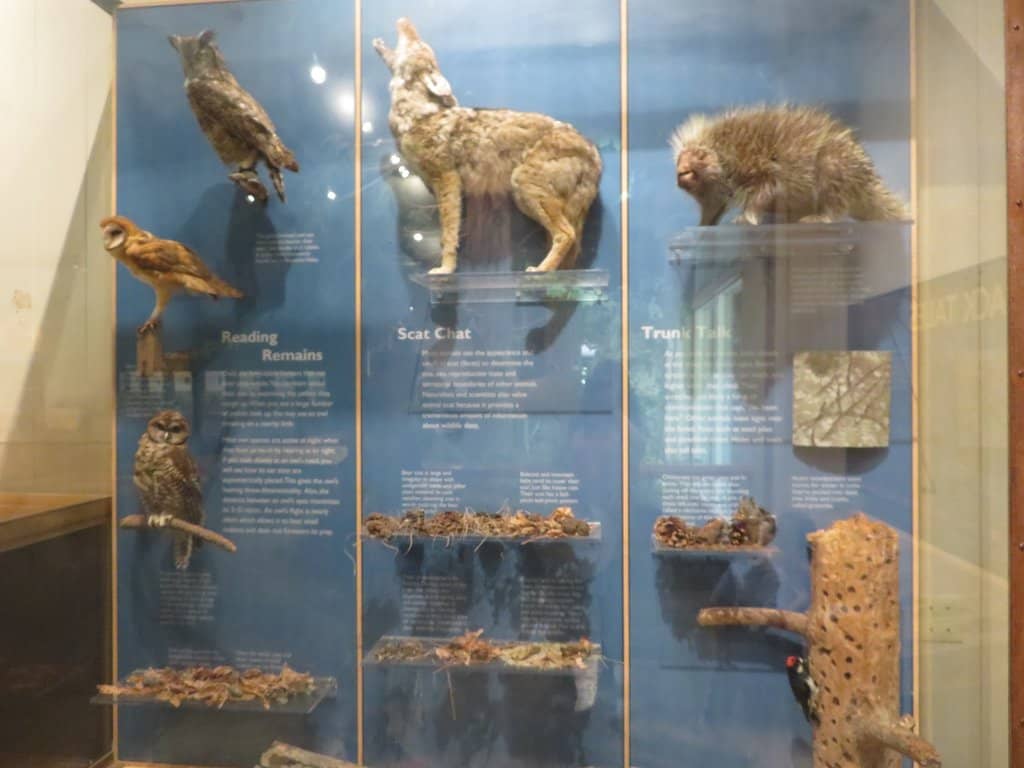 Gateway to Vernal & Nevada Falls