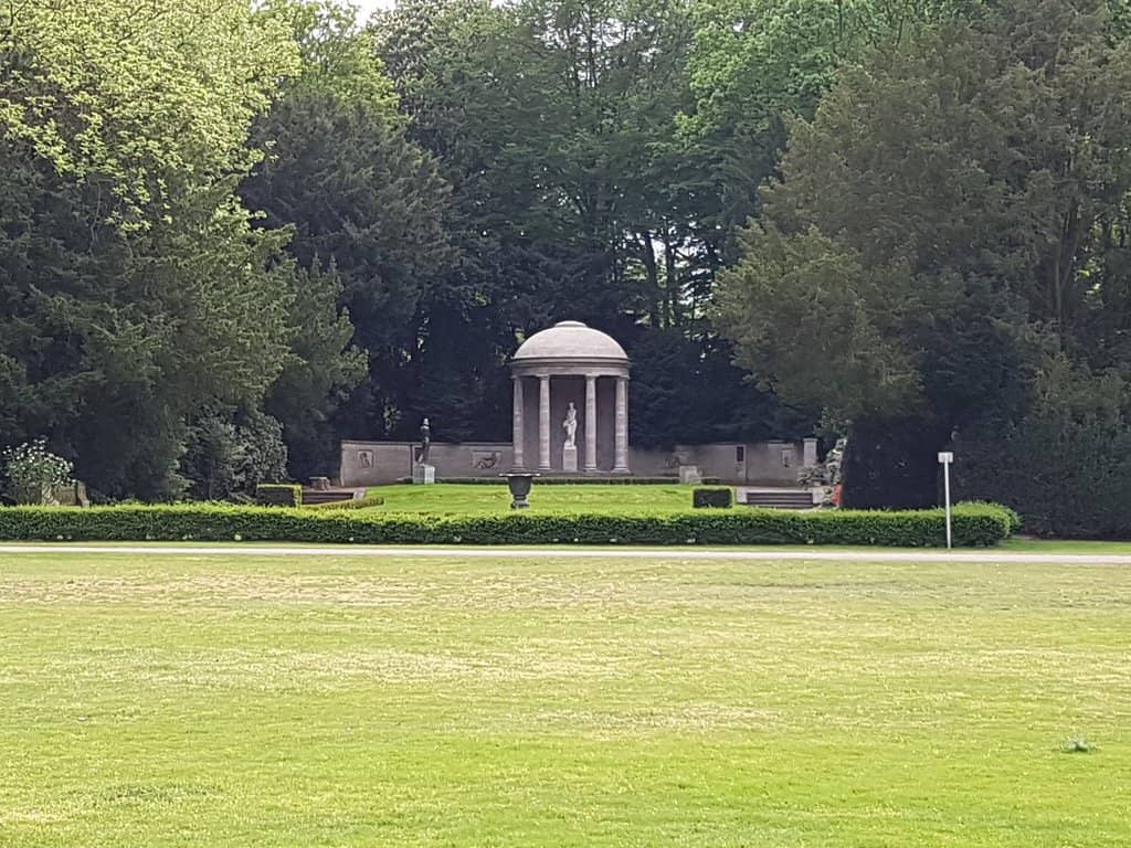 Lush Greenery and Healthy Trees