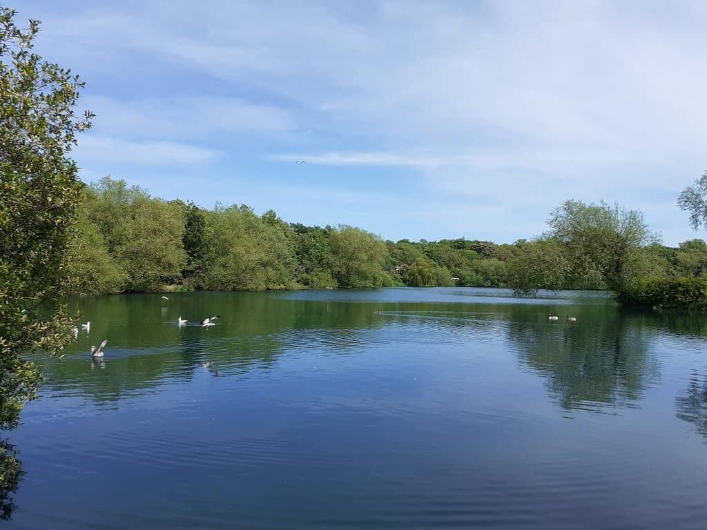 Historic Tunnel & River Darent