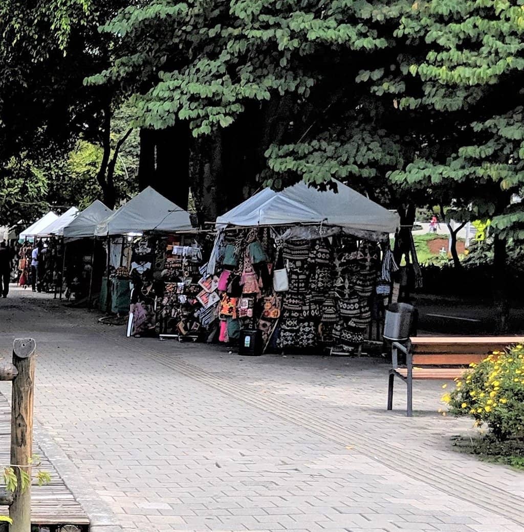 Shaded Tree-Lined Paths
