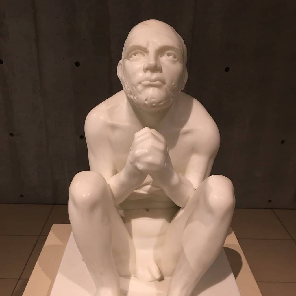 Clematis and Rose Gardens