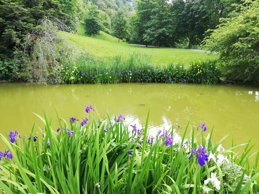 Panoramic Views from the Top