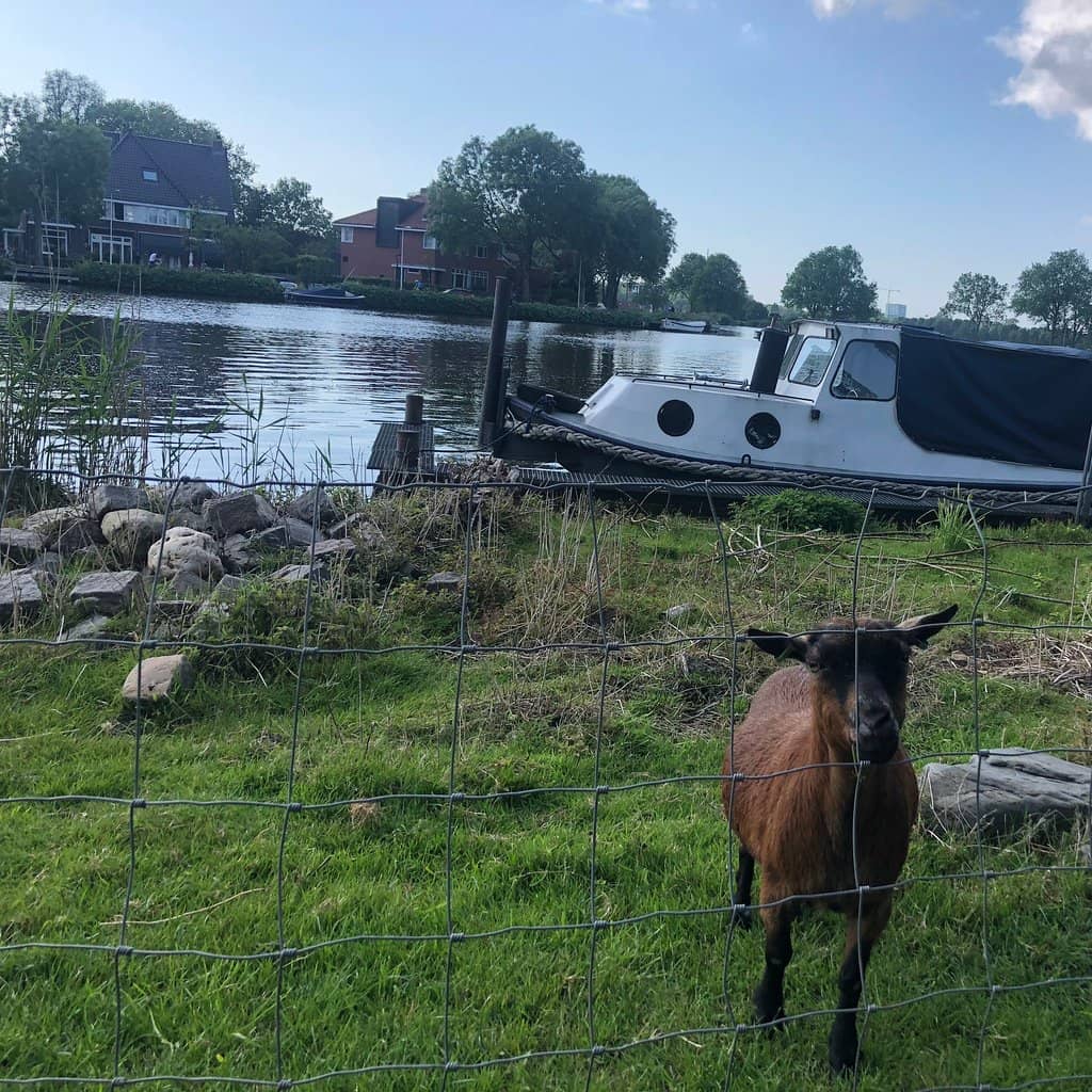 Expansive Playground