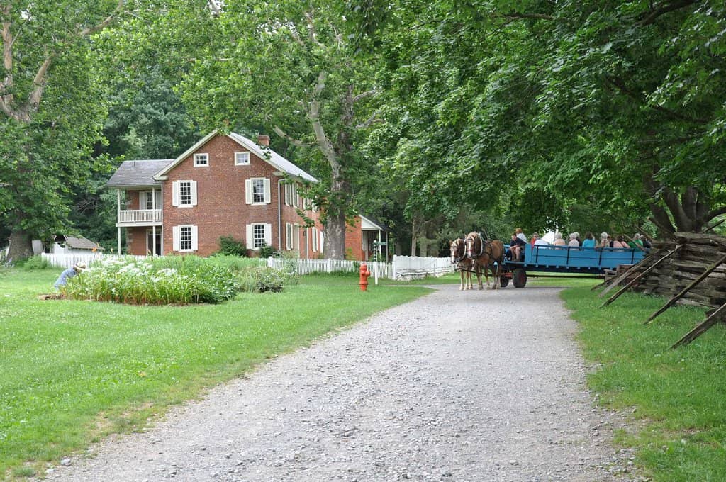 Interactive Craft Demonstrations