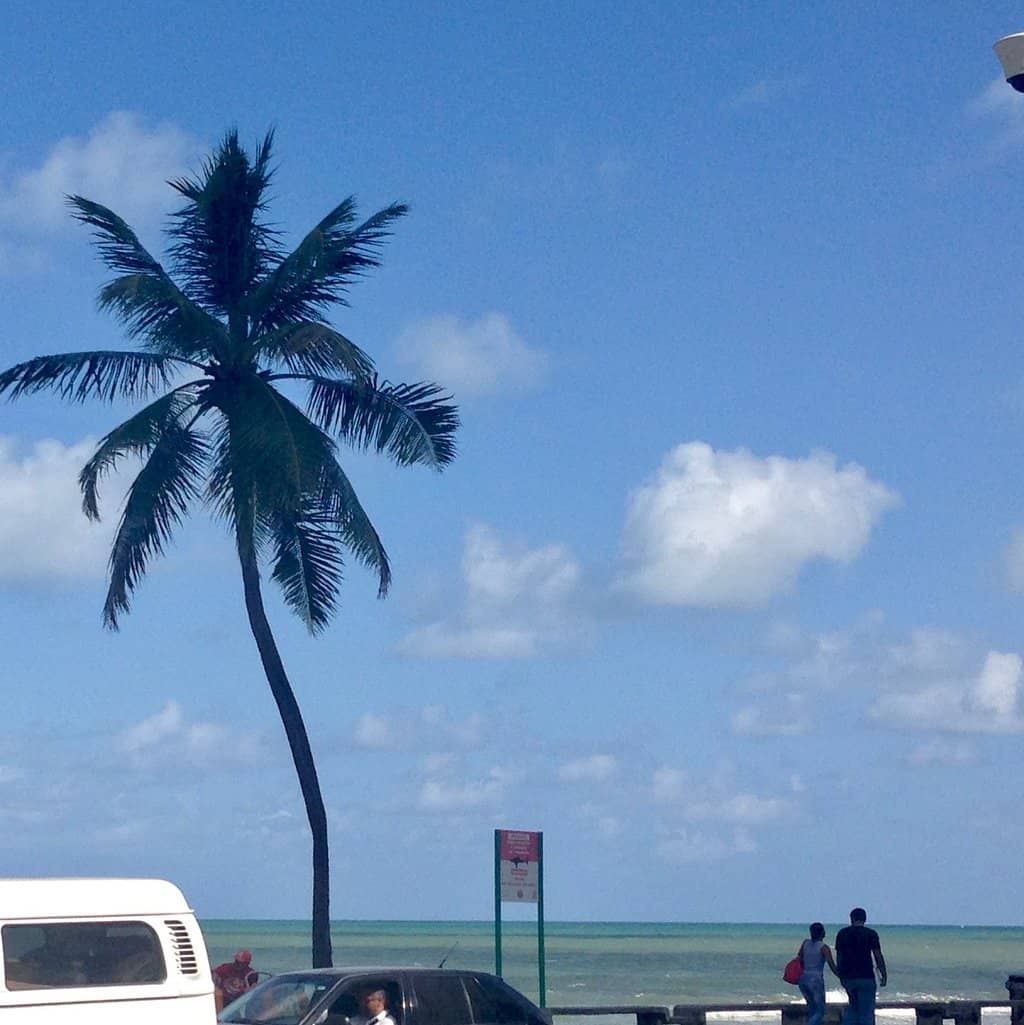 Protected Swimming Areas